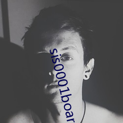 sis0001board文心雕龙