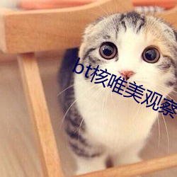bt核唯美观察
