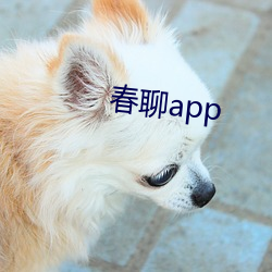 春聊app