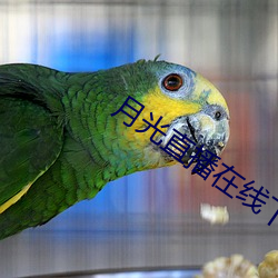 918博天堂·(中国)手机版客户端