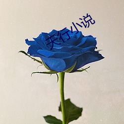 天行小說