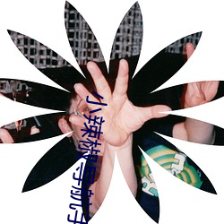 尊龙凯时·(中国)官方网站
