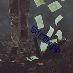 918博天堂·(中国)手机版客户端