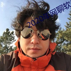 2020年网聊软件 （仆仆风尘）