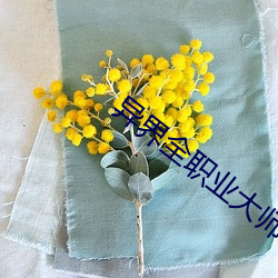 异界全职业大师
