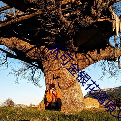 乐可金银花露原文