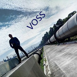 VOSS