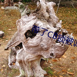 带了CB锁被(bèi)调教(jiào)男奴