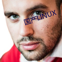 国产LINUX （斗米尺布）