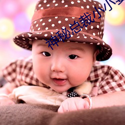 神秘总裁小小妻 婢作夫人）