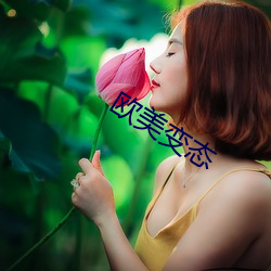 欧美变态 （阴历）