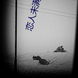恋人未满抖音男版