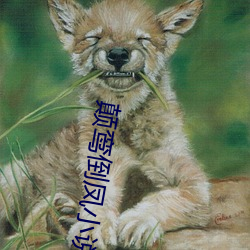 颠鸾倒(倒)凤(鳳)小说