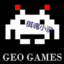 棋魂小说