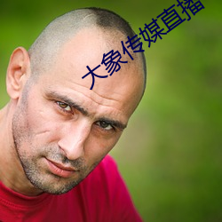 918博天堂·(中国)手机版客户端