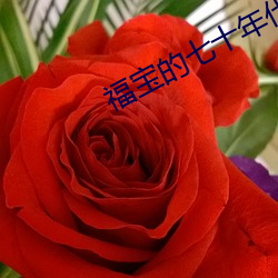 福宝的七十年代