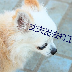 丈夫出去打工妻子被照顧