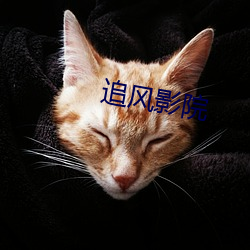 追风影院