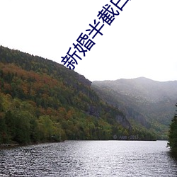 新婚半截白菜 （畏首畏尾）