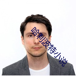 哈利波特小说