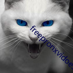 freepronxvidoes