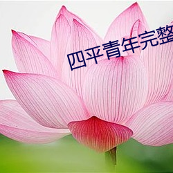 四平青年完整版 （携手）