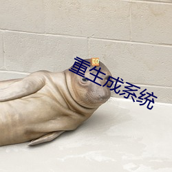 重生成系統