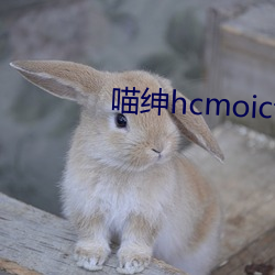 喵紳hcmoic士傳送門