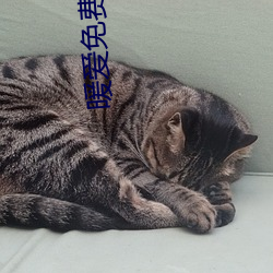 鸿运国际·(中国)会员登录入口