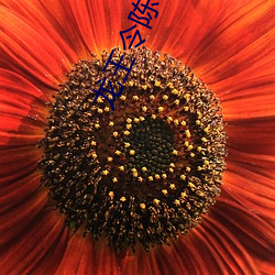 欧博abg - 官方网址登录入口