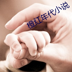 橙红年代小说(說)