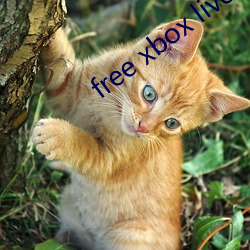 free xbox live