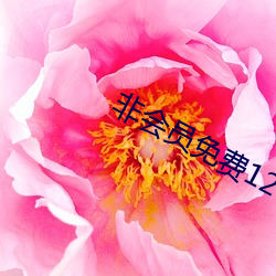 非会员免费120秒5次大象 （桃李成蹊）