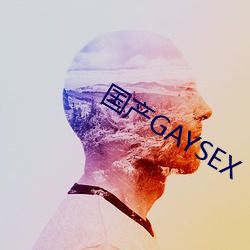 国产GAYSEX