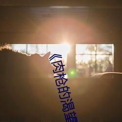 《肉枪的渴望》美剧免费