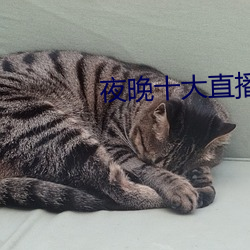 夜晚十大(dà)直播软件(jiàn)