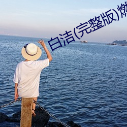 白(白)洁(完整版)燃(燃)文(文)