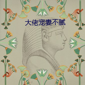 大佬宠妻不腻