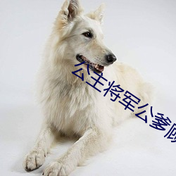 公主将军公爹顾霆罐满