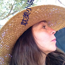 耽美小说肉文 呆子）