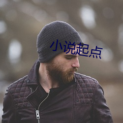 小说(說)起(起)点