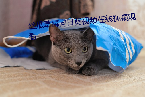 丝瓜(瓜)草莓向日葵视(視)频在线(線)视(視)频观(觀)看