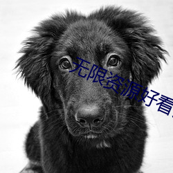 无限资源好看片2023