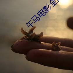 午马(馬)电影(影)全(全)集(集)