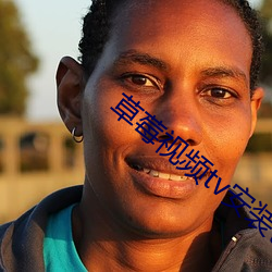 草莓视频tv安装包 （卖履分香）