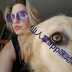 仙人掌app嘿呦嘿呦下载教程