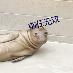 前任无双