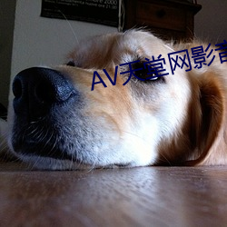 AV天堂(táng)网影(yǐng)音(yīn)先(xiān)锋(fēng)