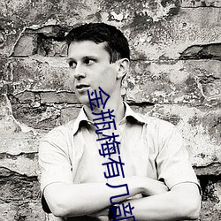 金瓶梅有几部 （踞虎盘龙）