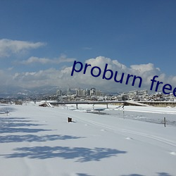 proburn free